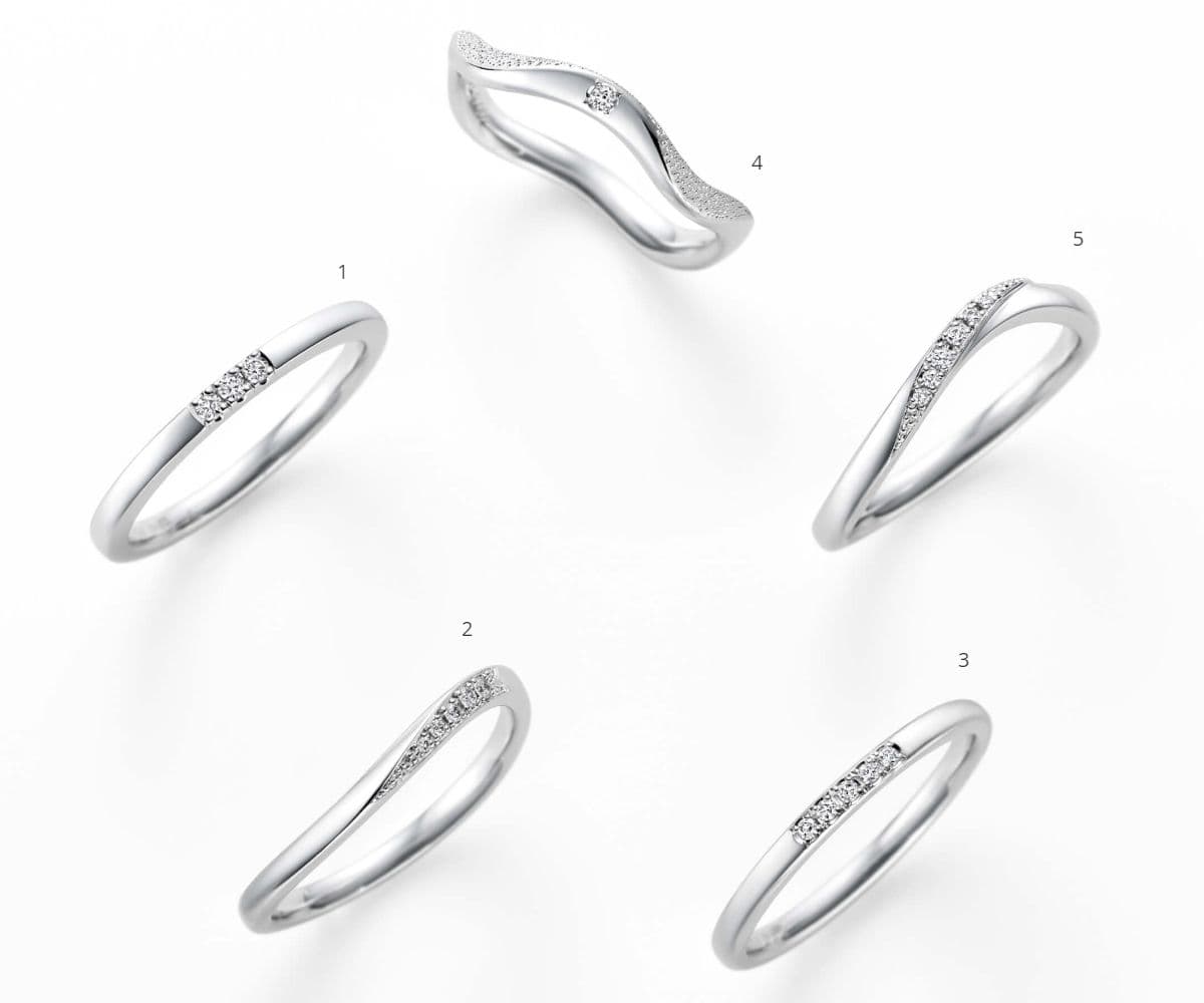 Collection Sモデル